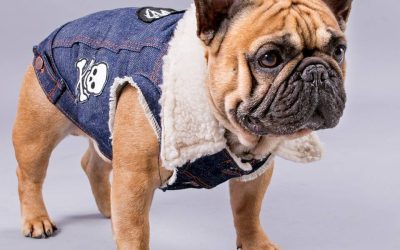 Confección textil 3